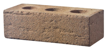 Verschleißfestigkeit durchlöcherte Lehm-Ziegelsteine für das Wand-Gebäude besonders angefertigt