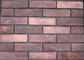 Antiker Zement Mehrfarbenfaux-Außenziegelstein für Wohnungs-/Krankenhaus-Gebäude