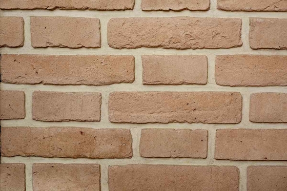 Spezielle Oberflächenstrecke Farbgröße 200x55x12mm Clay Brick For Wall Decoration inner und extern