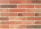 3D51-3 Clay Thin Veneer Brick Turned Color Veneer Brick With Smooth Surface Edge Damages Style